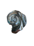 Silver Metallic Shell Hair Claw