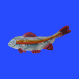 Large fish Hair Claw
