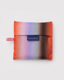 Standard Baggu - Gradient Stripe, Poppy & Lilac