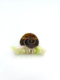 Snail Hair Claw