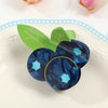 Blueberry  Hair Claw