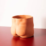 Terrecotta Bottoms