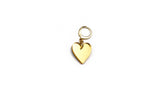 Charm Dangle Earring - Heart