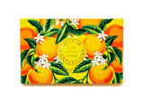 Alicja Confections Chocolate-VALENCIA äó¢ CANDIED ORANGE PEEL 54.5% DARK CHOCOLATE